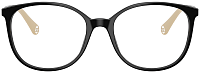 Chanel CH 3432 C534