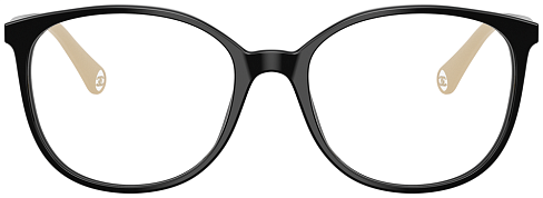Chanel CH 3432 C534