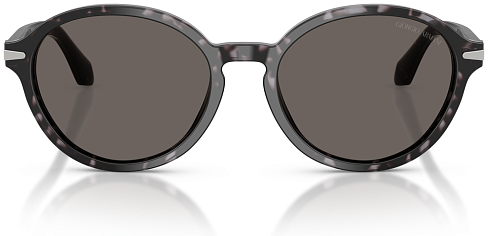 Giorgio Armani AR 8237 6236B1