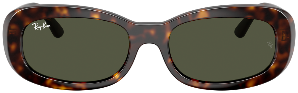 Ray-Ban RB 2221 902/31