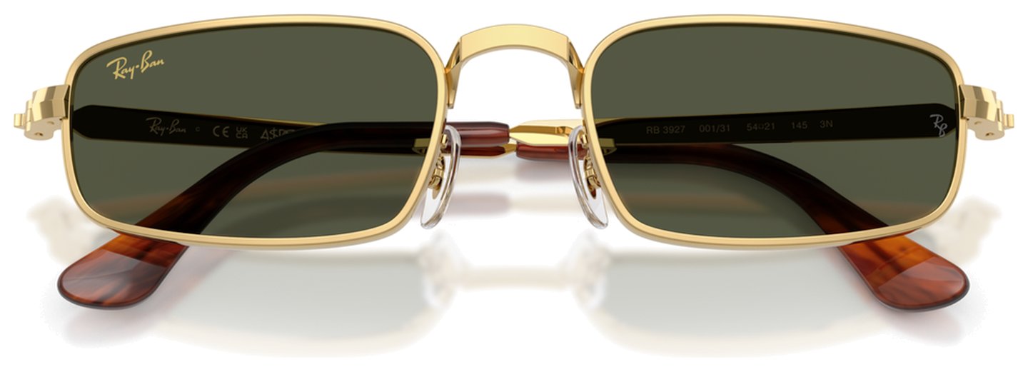 Ray-Ban RB 3927 001/31