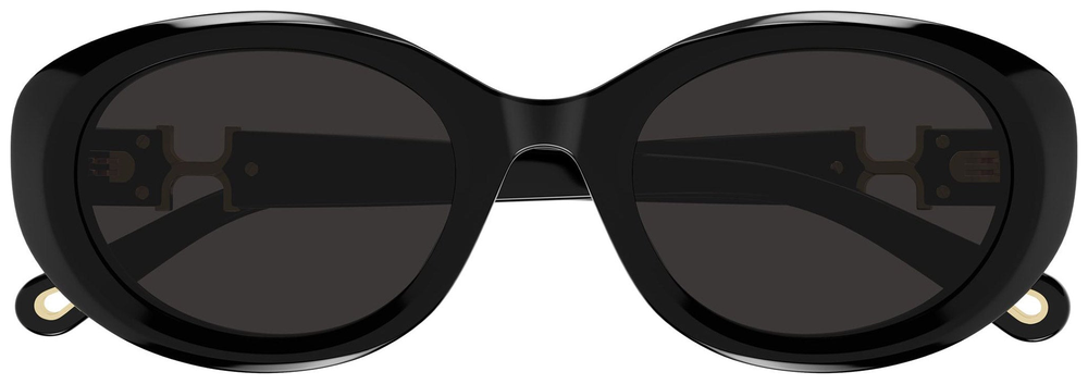 Chloe CH 0323SK 001