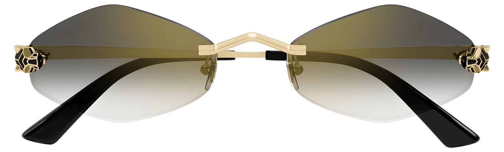 Cartier CT 0433S 001