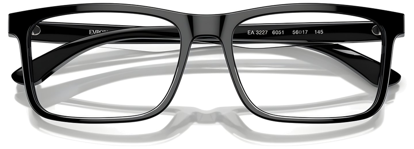 Emporio Armani EA 3227 6051