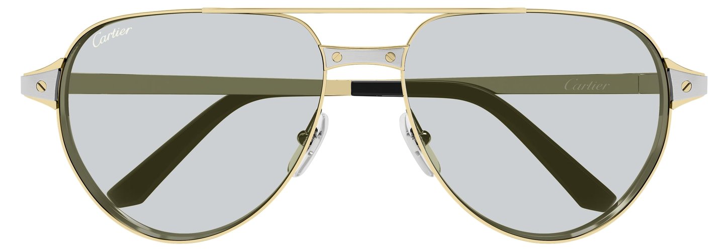 Cartier CT 0425S 006