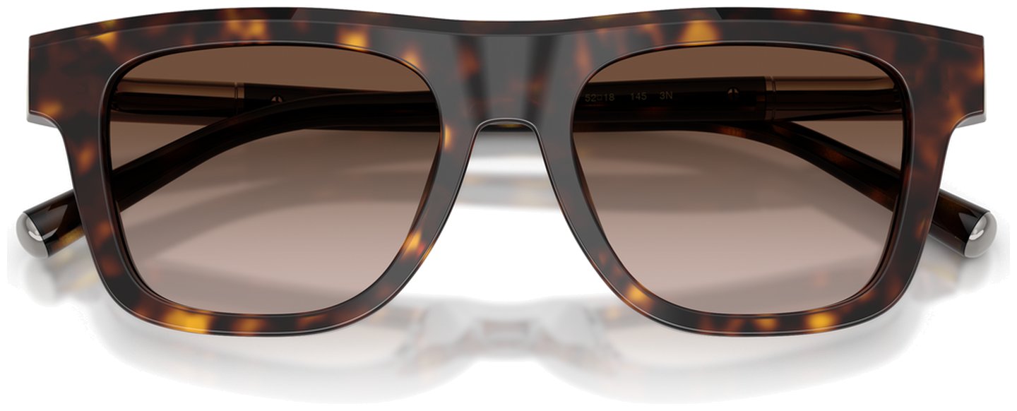 Dolce & Gabbana DG 4521 502/13