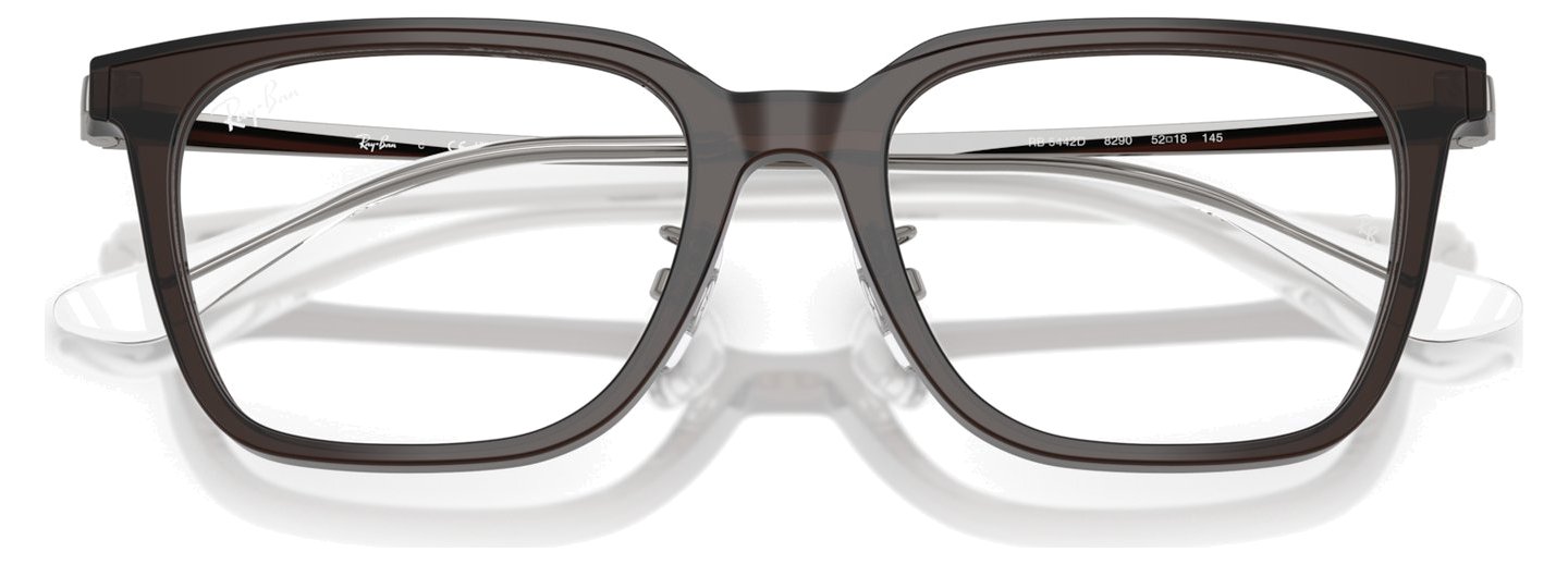 Ray-Ban RX 5442D 8290
