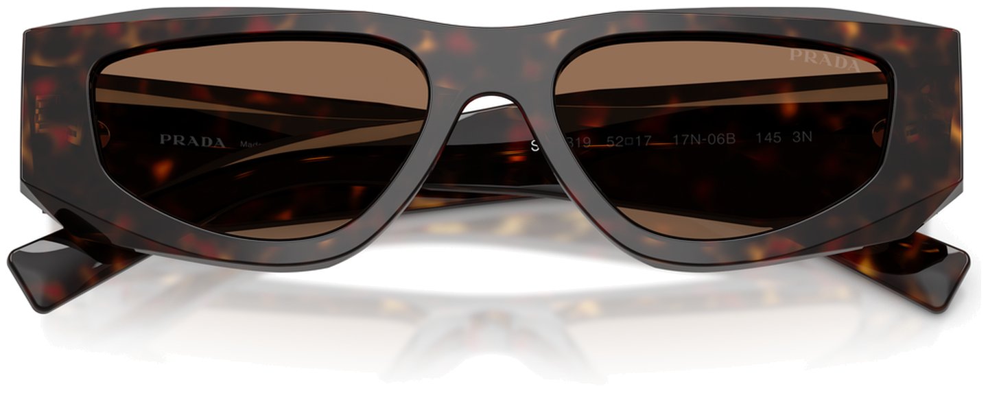 Prada PR B19S 17N06B