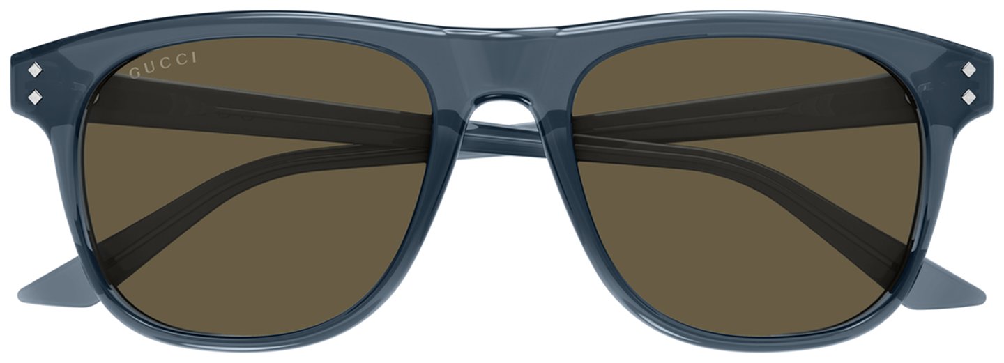 Gucci GG1893S 004
