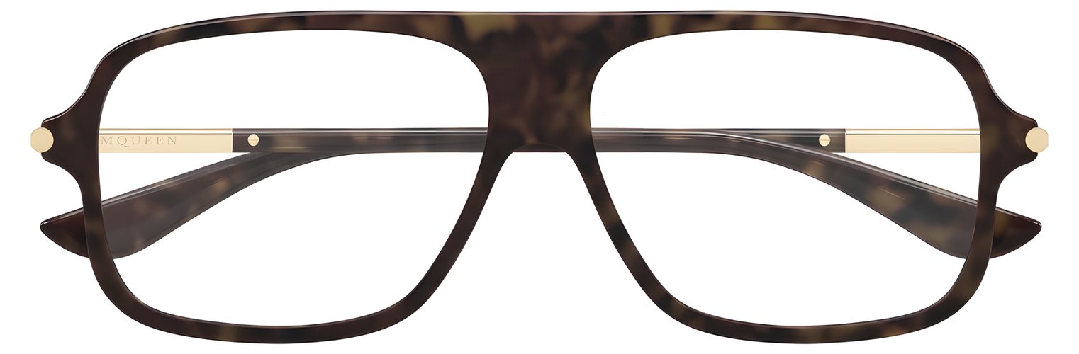 Alexander McQueen AM 0555O 002