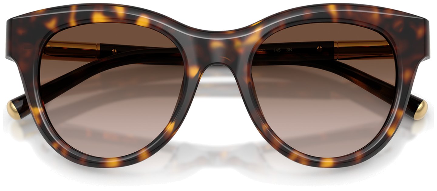 Dolce & Gabbana DG 4518 502/13