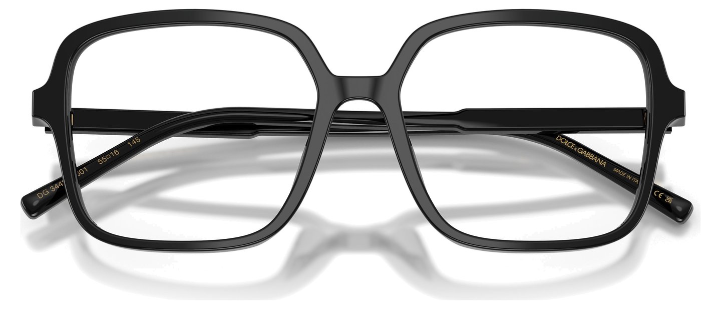 Dolce & Gabbana DG 3442 501