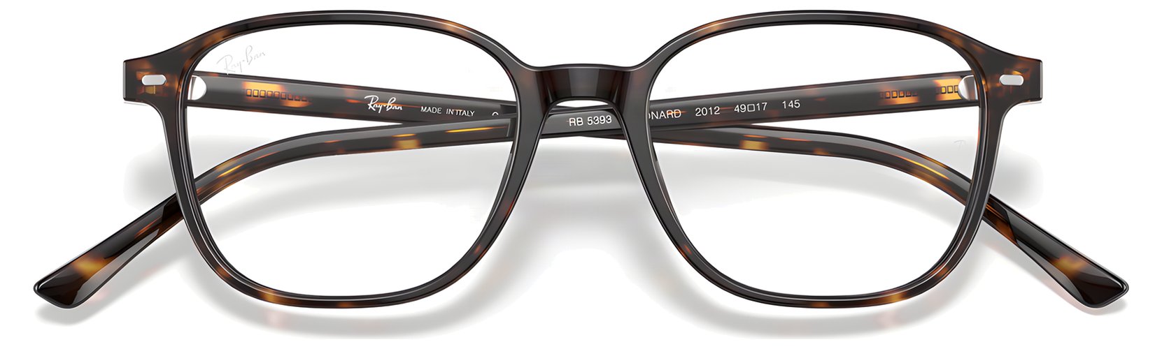 Ray-Ban RX 5393 2012