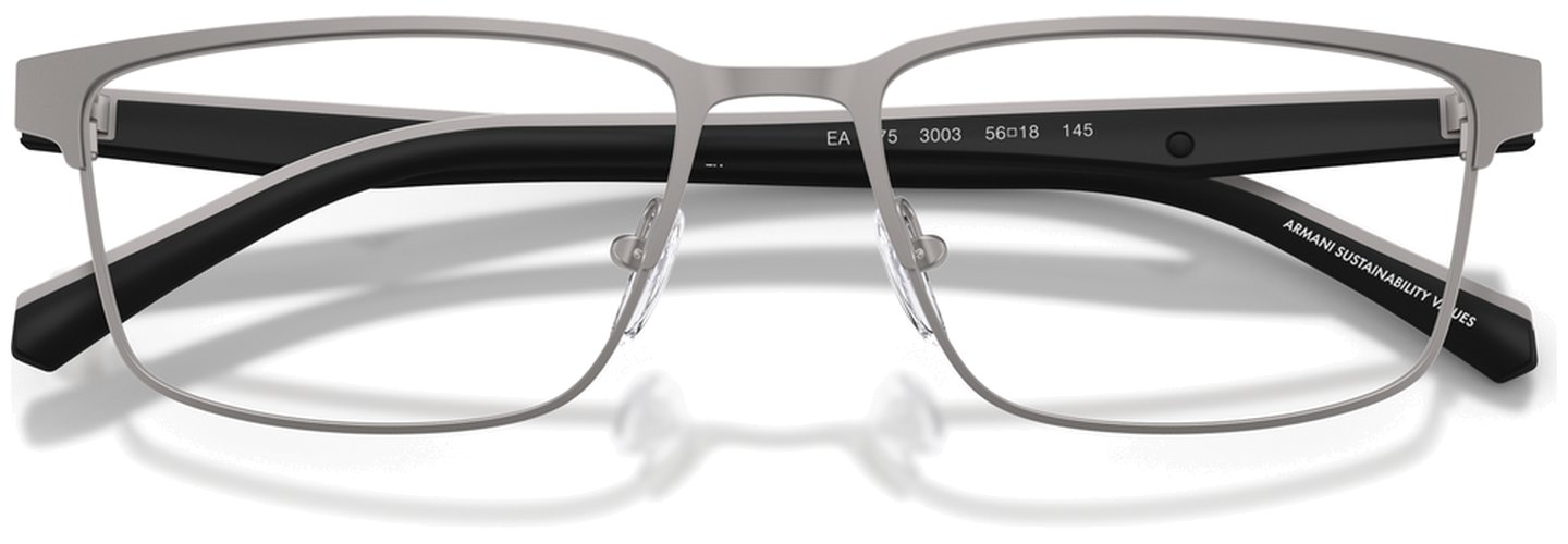 Emporio Armani EA 1175 3003