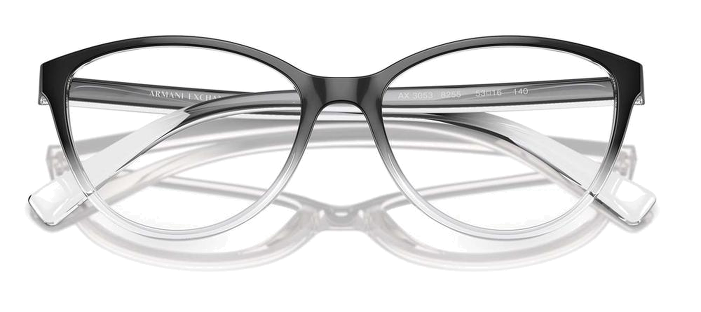 Armani Exchange AX 3053 8255