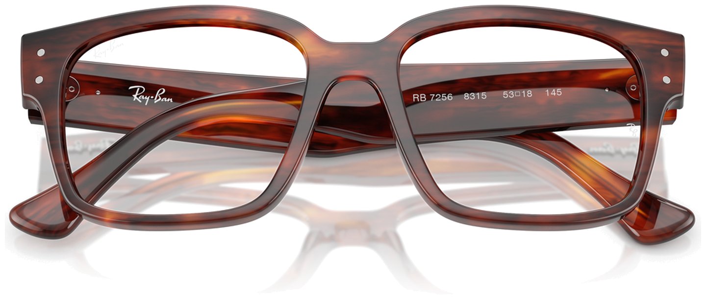 Ray-Ban RX 7256 8315