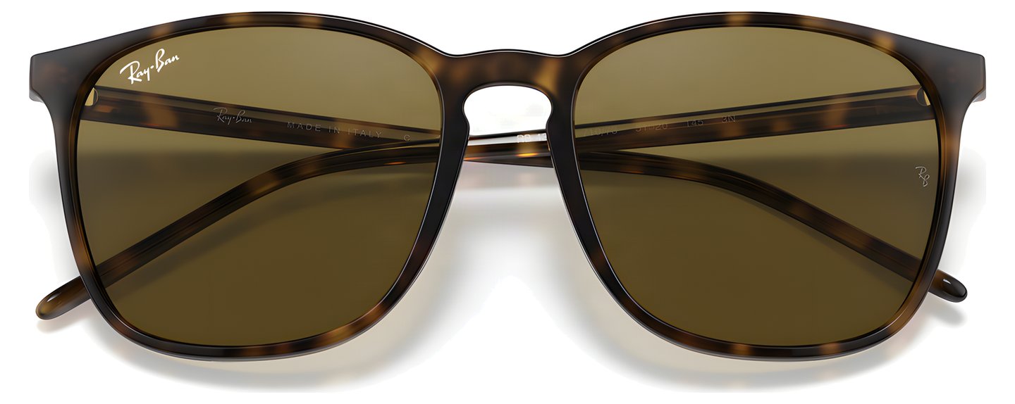Ray-Ban RB 4387 710/73
