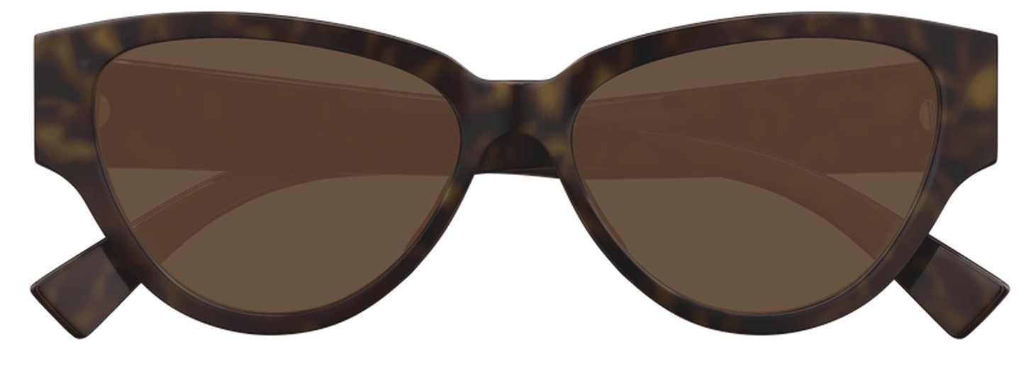 Bottega Veneta BV1319S 002