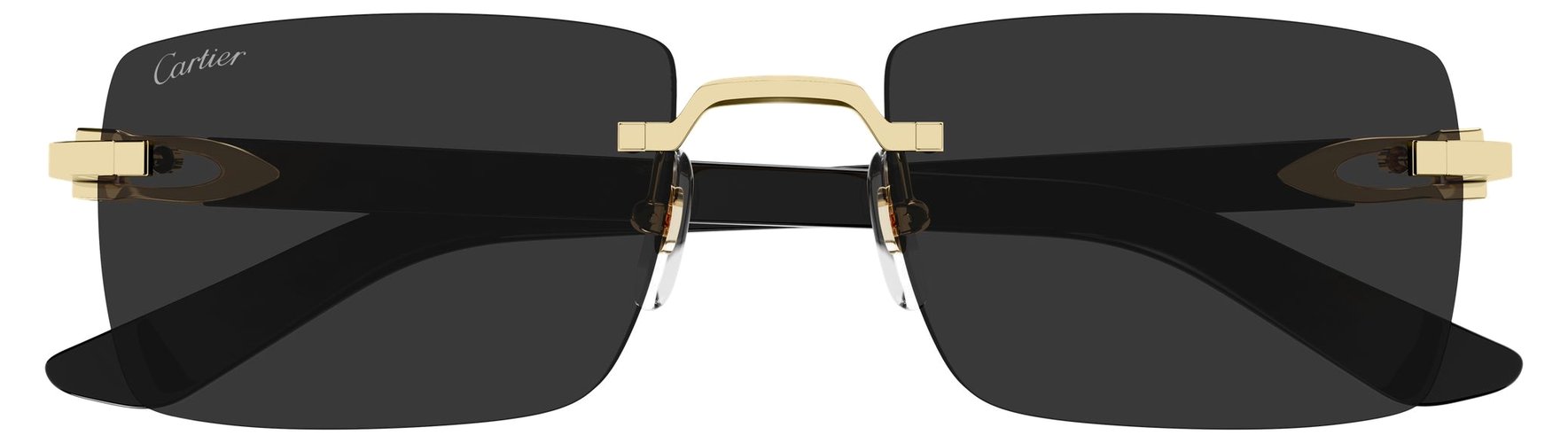Cartier CT 0579S 005