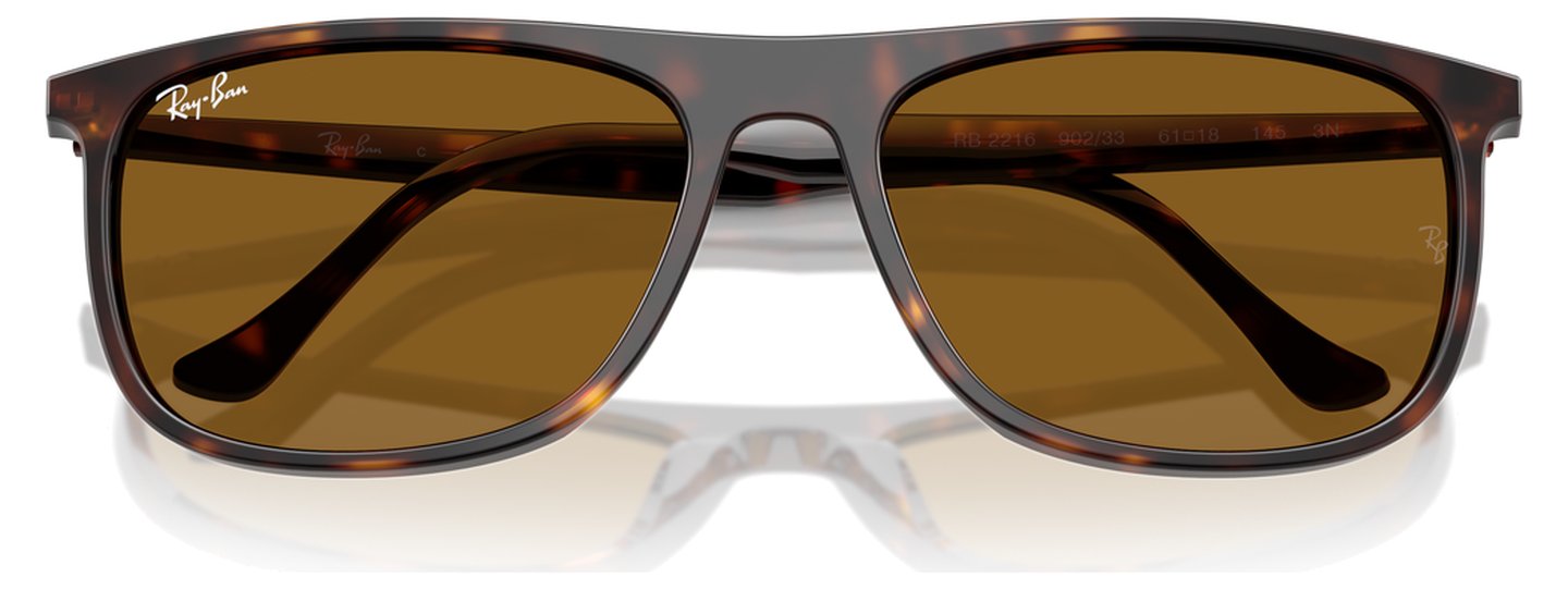 Ray-Ban RB 2216 902/33