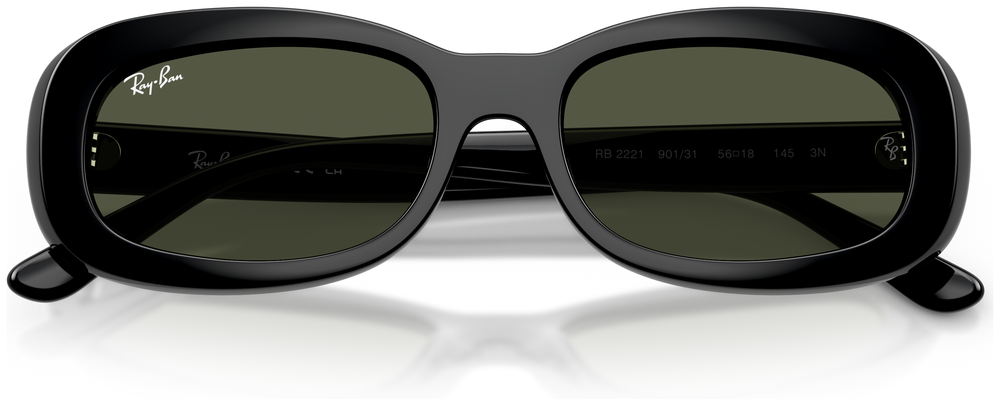 Ray-Ban RB 2221 901/31
