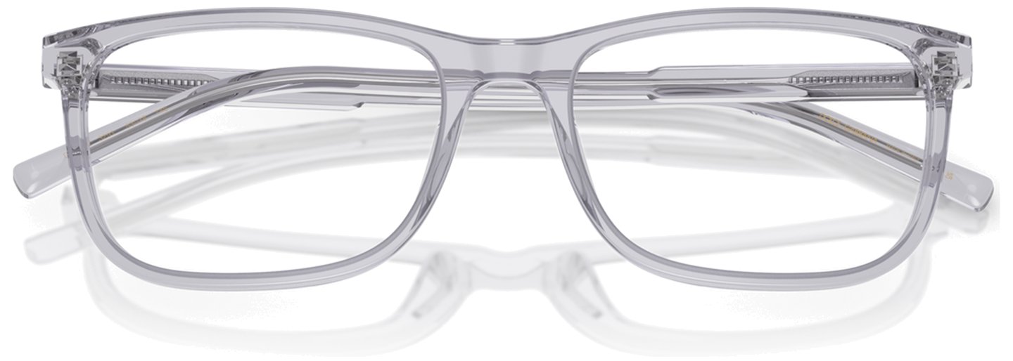 Dolce & Gabbana DG 3427 3291