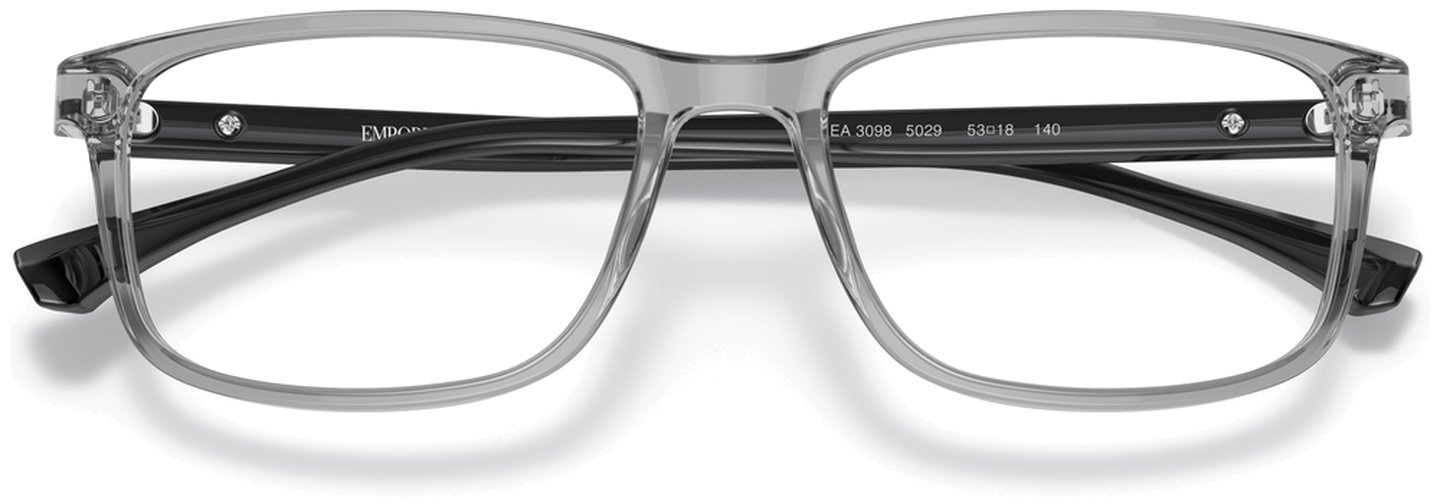 Emporio Armani EA 3098 5029