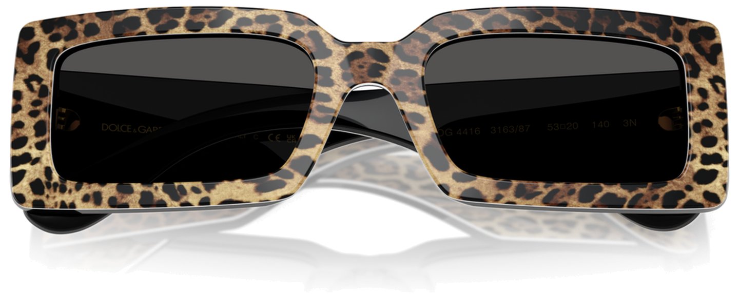 Dolce & Gabbana DG 4416 316387