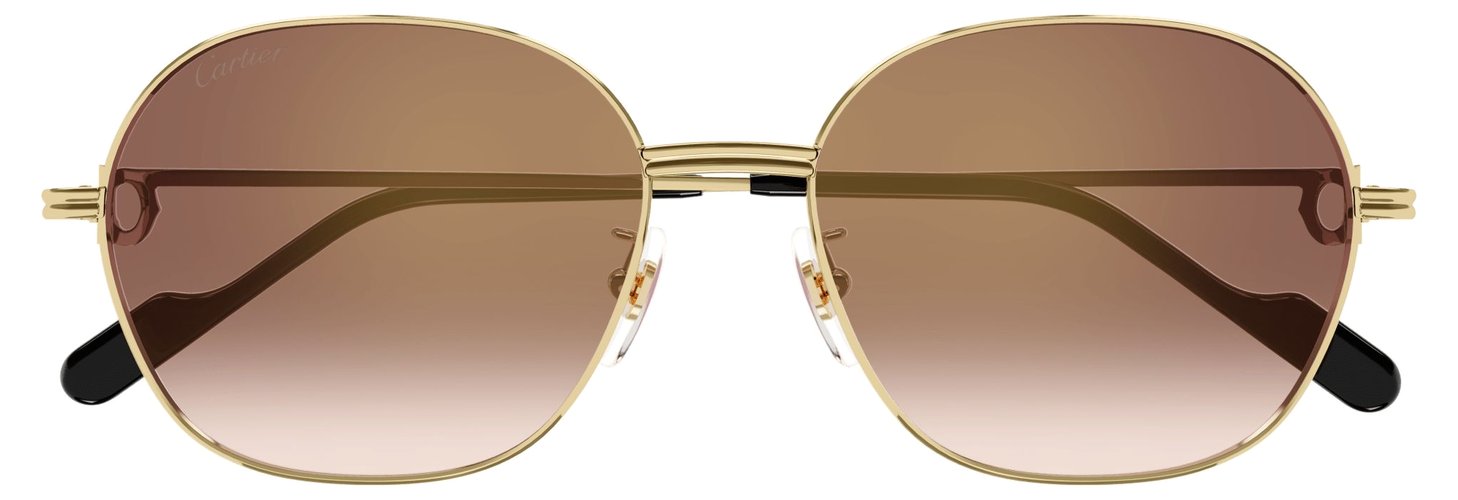 Cartier CT 0569SA 003