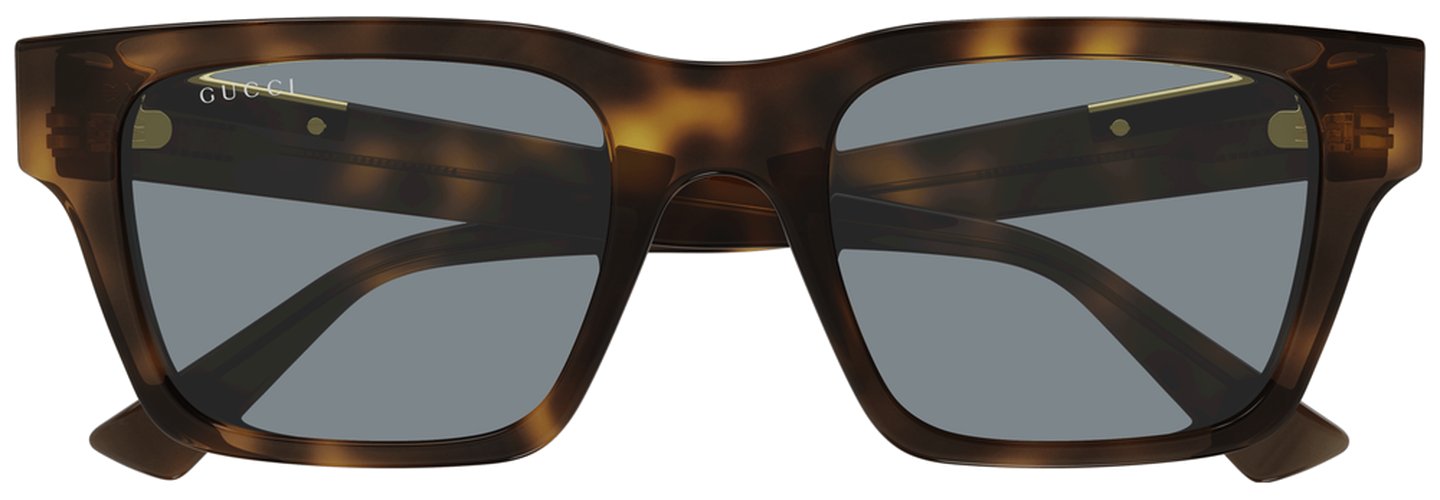 Gucci GG1889S 004