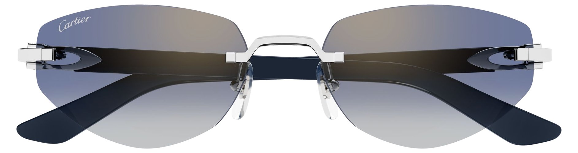 Cartier CT 0580S 004