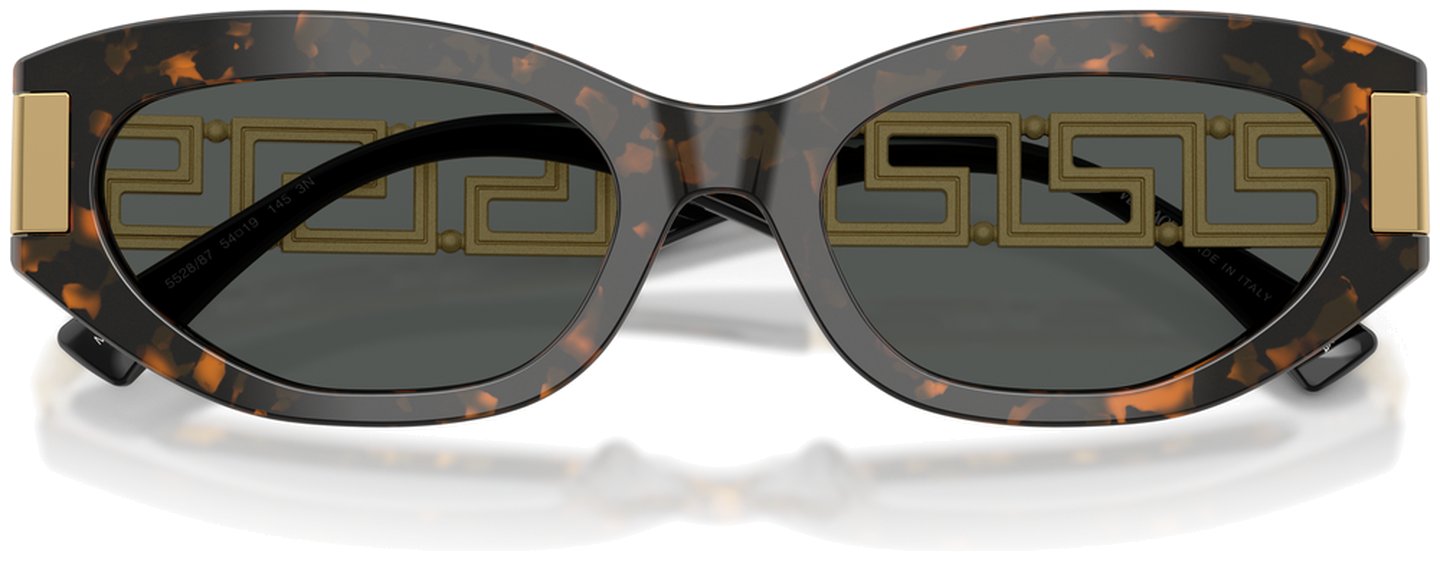 Versace VE 4501 552887