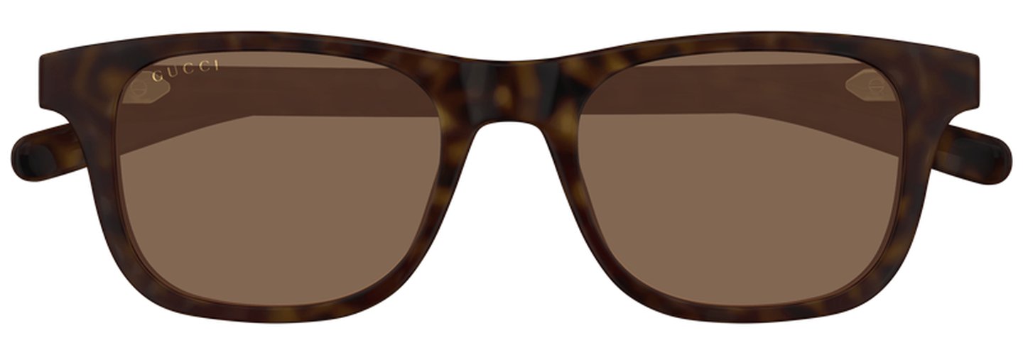 Gucci GG1671S 006
