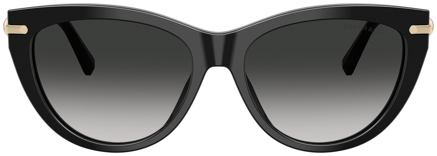 Tiffany & Co TF 4253F 80013C