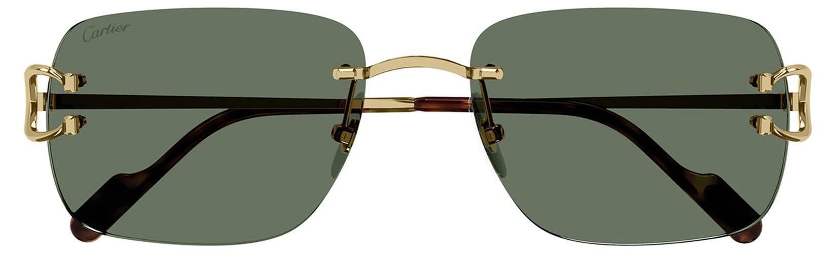Cartier CT 0330S 005