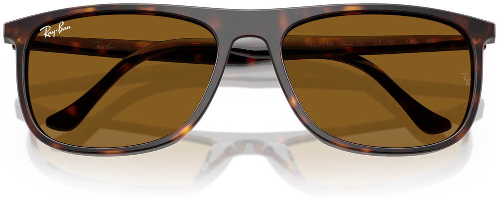 Ray-Ban RB 2216 90233