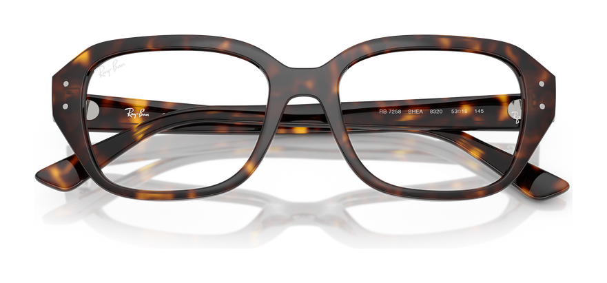 Ray-Ban RX 7258 8320