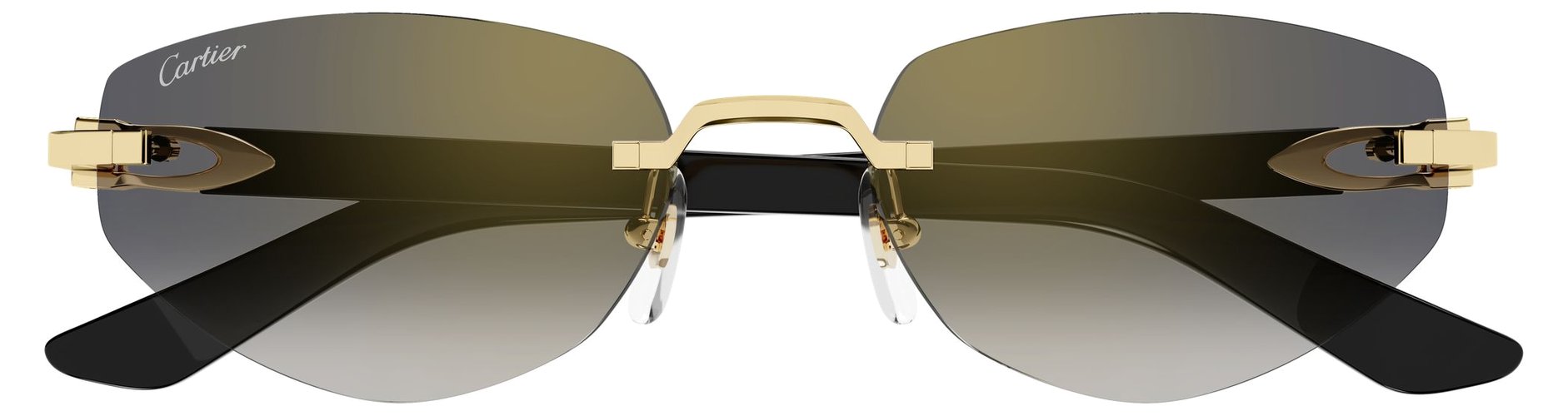 Cartier CT 0580S 001
