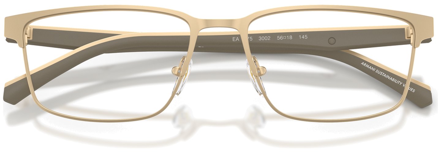 Emporio Armani EA 1175 3002