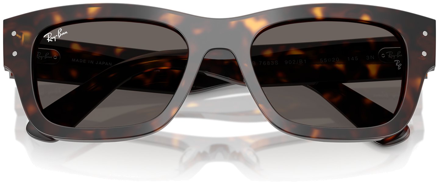 Ray-Ban RB 7683S 902/B1
