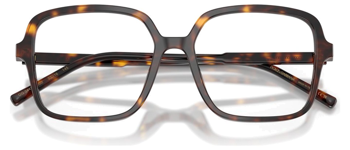 Dolce & Gabbana DG 3442 502