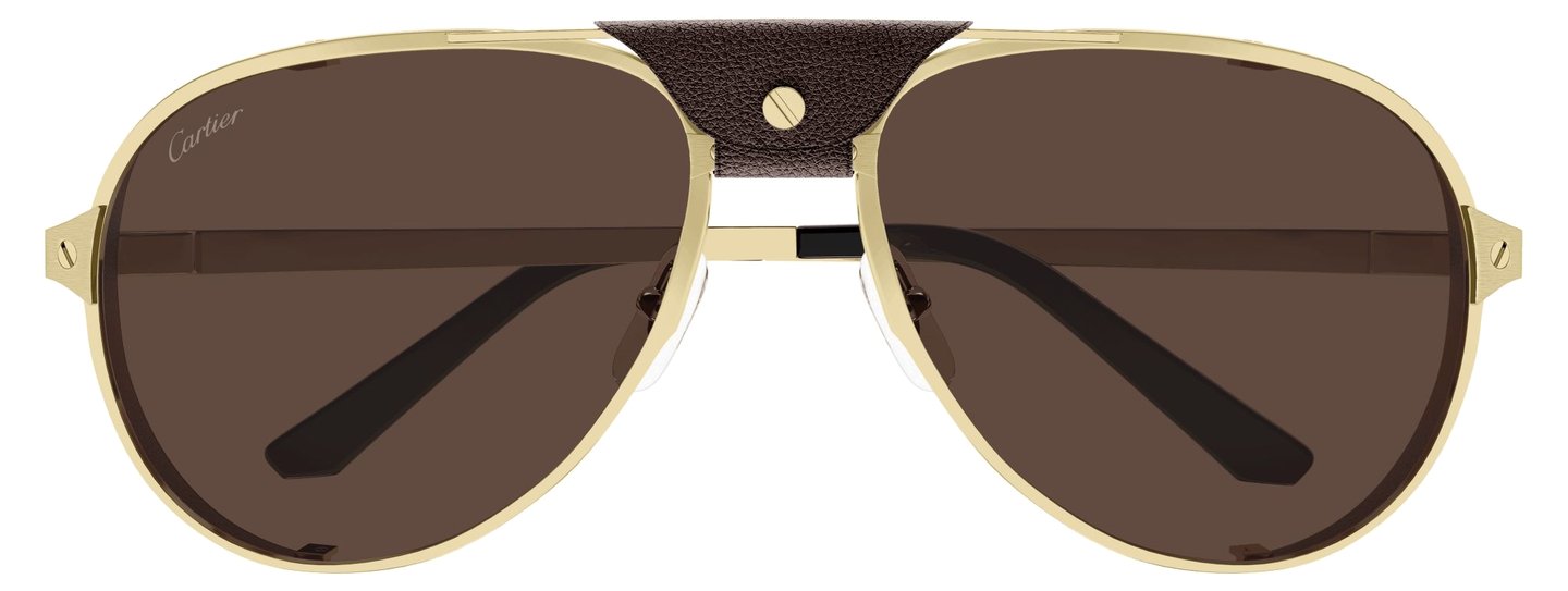 Cartier CT 0296S 005