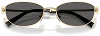 Tiffany & Co TF 3115 6021S4