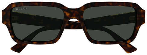 Gucci GG1887S 002