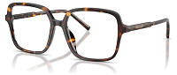 Dolce & Gabbana DG 3442 502