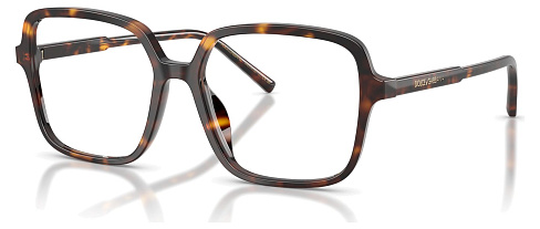 Dolce & Gabbana DG 3442 502