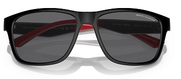 Armani Exchange AX 4135S 807881