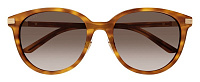 Gucci GG1452SK 004