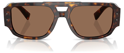 Dolce & Gabbana DG 4482 502/73