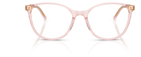 Dolce & Gabbana DG 3425 3148